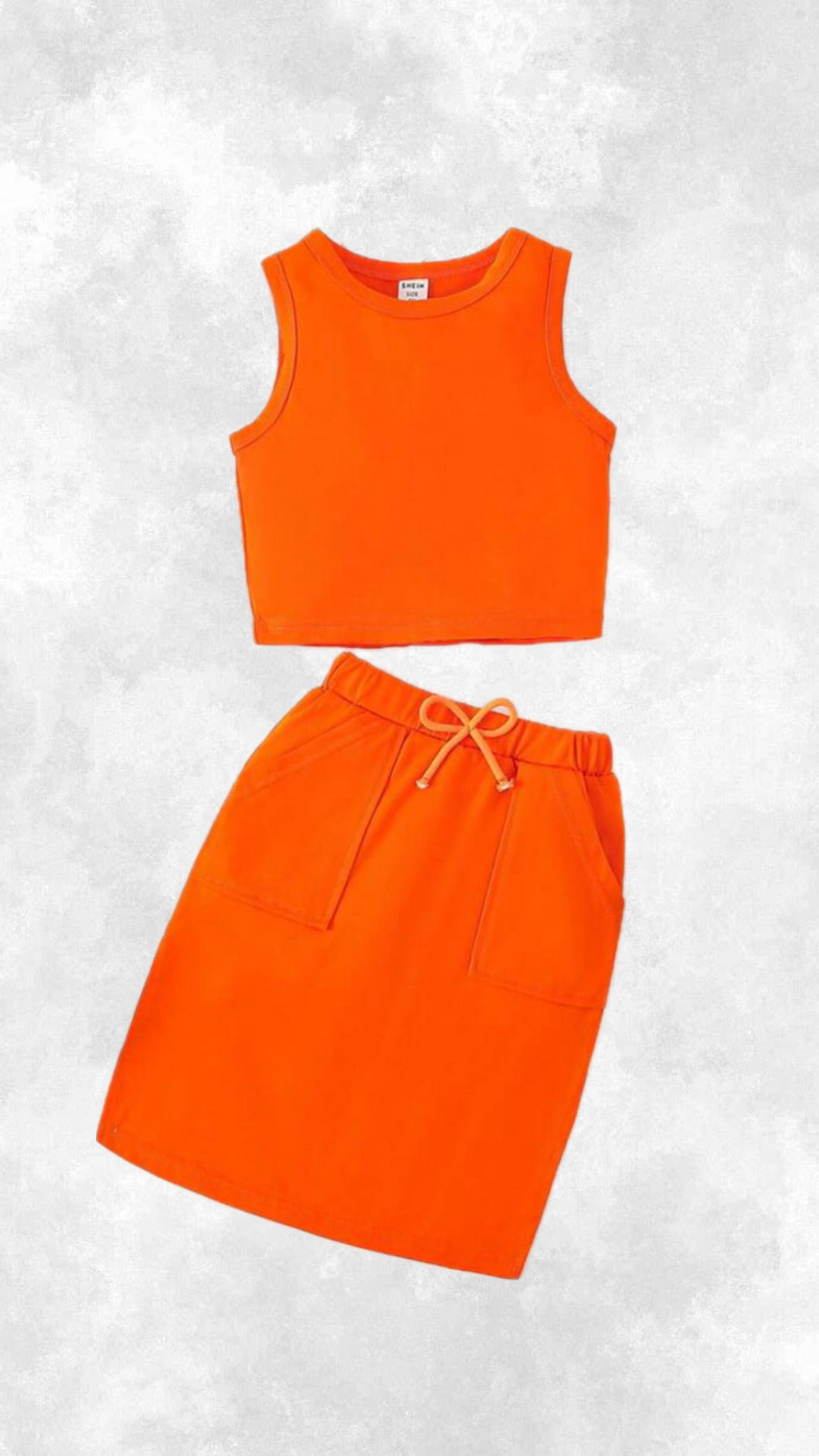 2 Piece Crop & Skirt Set